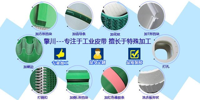 <a href='http://zgcinnotown.com.cn/shusongdai/' target='_blank'><u>輸送帶</u></a>定制加工種類