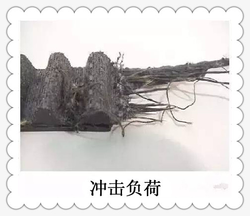 <a href='http://zgcinnotown.com.cn/' target='_blank'><u>工業(yè)皮帶</u></a>